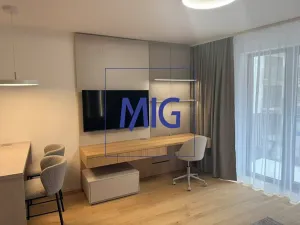 Pronájem bytu 1+kk, Brno, Bratislavská, 45 m2