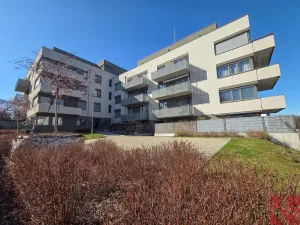 Pronájem bytu 2+kk, Praha - Michle, Hadovitá, 53 m2