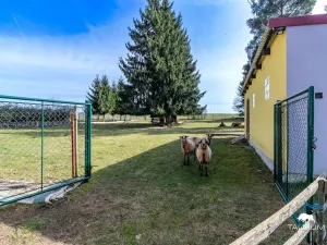 Prodej bytu 3+1, Hlohová, 92 m2