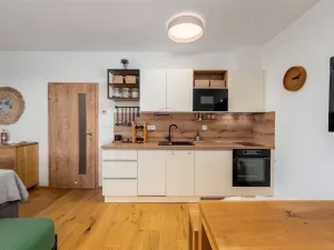 Prodej bytu 1+kk, Lipno nad Vltavou, 31 m2