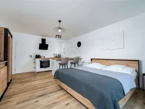 Prodej bytu 1+kk, Lipno nad Vltavou, 105 m2