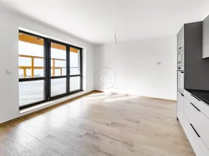 Prodej bytu 2+kk, Frymburk - Kovářov, 58 m2