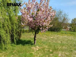 Prodej zahrady, Mikulovice, 1350 m2