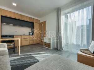 Pronájem bytu 1+kk, Praha - Chodov, Švabinského, 25 m2