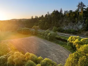 Prodej pozemku, Vlastějovice - Kounice, 650 m2
