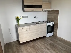 Pronájem bytu 3+1, Frýdek-Místek, Zahradní, 67 m2