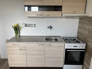 Pronájem bytu 3+1, Frýdek-Místek, Zahradní, 67 m2