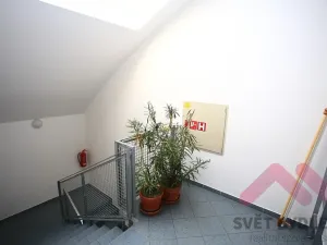 Pronájem bytu 2+kk, Praha - Žižkov, Jeseniova, 52 m2