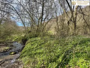 Prodej pozemku pro bydlení, Libina, 8112 m2