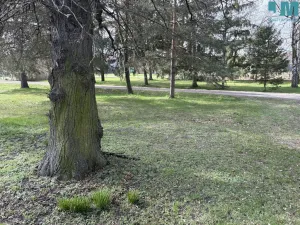 Prodej rodinného domu, Nová Ves I, Legerovo nám., 88 m2