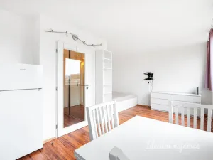 Pronájem bytu 1+kk, Praha - Karlín, Molákova, 28 m2