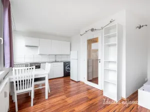 Pronájem bytu 1+kk, Praha - Karlín, Molákova, 28 m2