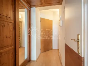 Pronájem bytu 1+kk, Praha - Michle, Magistrů, 22 m2