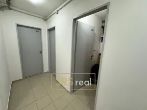 Pronájem bytu 1+kk, Brno, 45 m2