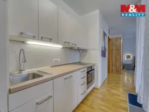 Prodej bytu 1+kk, Praha - Žižkov, Malešická, 38 m2