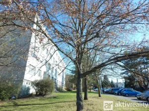 Prodej bytu 1+kk, Louny, Lipová, 34 m2