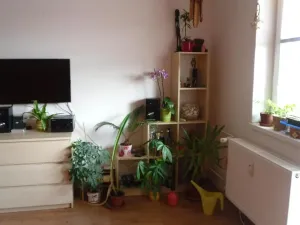 Prodej bytu 1+kk, Brno, Pálavské náměstí, 33 m2