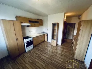Prodej bytu 1+1, Krupka - Bohosudov, Havlíčkova, 36 m2
