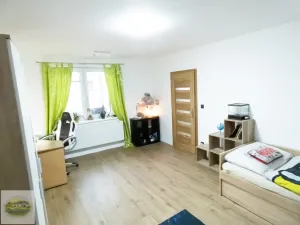 Prodej rodinného domu, Lužec nad Cidlinou, 390 m2