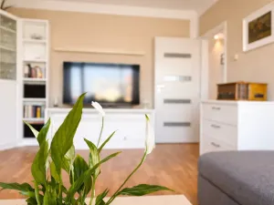 Prodej bytu 3+1, Chomutov, Kostnická, 64 m2