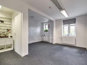 Prodej obchodního prostoru, Ostrava - Svinov, Bílovecká, 94 m2