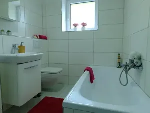 Pronájem bytu 2+1, Uherský Brod, 56 m2