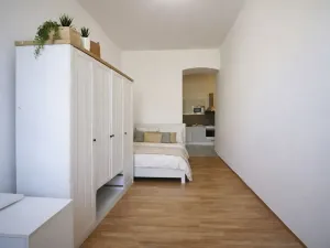 Pronájem bytu 1+1, Brno, Koliště, 31 m2