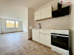 Pronájem bytu 2+kk, Kralupy nad Vltavou, Lobeč, 43 m2
