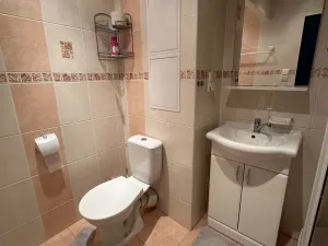 Pronájem bytu 3+1, Kraslice, Pod nádražím, 74 m2