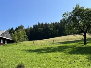 Prodej lesa, Krásná, 21810 m2