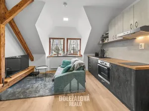 Pronájem bytu 1+1, Jihlava, Hůlová, 49 m2
