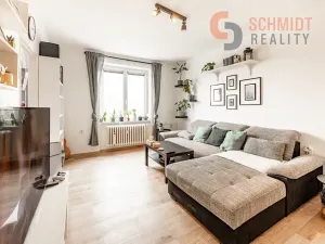 Prodej bytu 2+1, Břeclav, Růžičkova, 52 m2