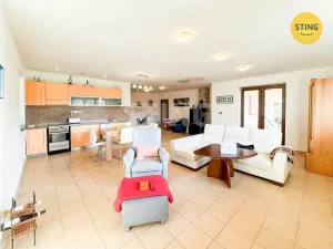 Pronájem rodinného domu, Albrechtice, Bělehradská, 217 m2