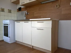 Prodej bytu 1+1, Krnov, SPC E, 40 m2