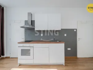 Pronájem bytu 1+kk, Ostrava, Francouzská, 21 m2