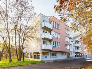 Prodej bytu 2+kk, Praha - Žižkov, U staré cihelny, 61 m2