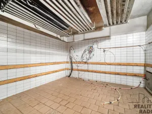 Prodej restaurace, Řečany nad Labem, 1. máje, 320 m2