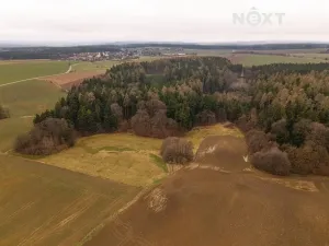 Prodej louky, Niva, 7301 m2