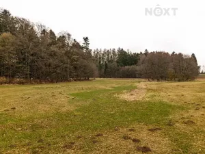 Prodej louky, Niva, 7301 m2