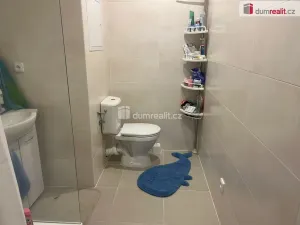 Prodej bytu 2+1, Cheb, Mírová, 54 m2