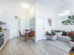 Pronájem bytu 2+kk, Albrechtice nad Orlicí, 1. máje, 32 m2