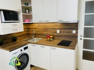 Pronájem bytu 1+kk, Praha - Vinohrady, Sobotecká, 17 m2