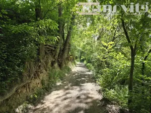 Prodej zahrady, Benátky nad Jizerou, 398 m2