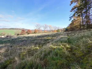 Prodej pozemku pro bydlení, Daleké Dušníky, 1217 m2