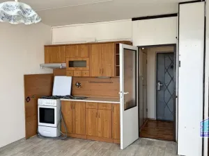 Prodej bytu 1+1, Plzeň - Severní Předměstí, Sokolovská, 39 m2