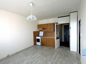 Prodej bytu 1+1, Plzeň - Severní Předměstí, Sokolovská, 39 m2