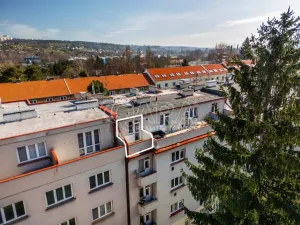 Prodej bytu 2+kk, Praha - Bubeneč, Ve struhách, 48 m2