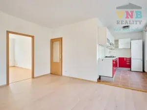 Prodej bytu 3+kk, Praha - Žižkov, Pod lipami, 70 m2