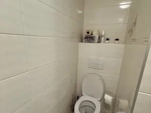 Prodej bytu 2+1, Frýdek-Místek - Frýdek, Dobrovského, 45 m2