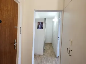 Pronájem bytu 1+1, Brno, Horácké náměstí, 44 m2